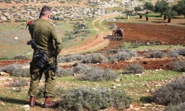 İsrail, Batı Şeria'da Filistinlilere ait 193 dönüm araziye el koydu