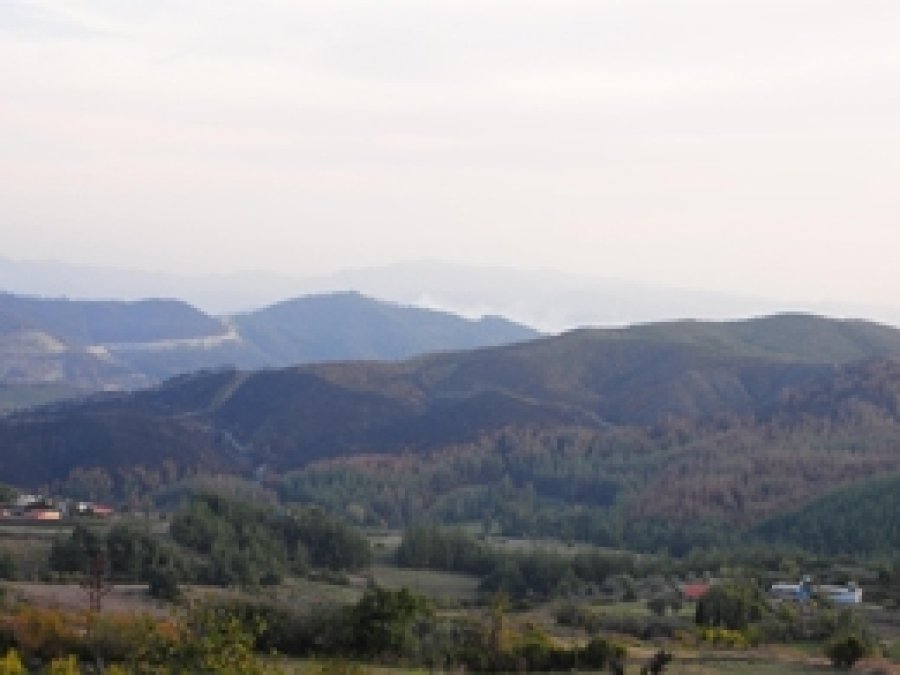 Sınırda Yangın