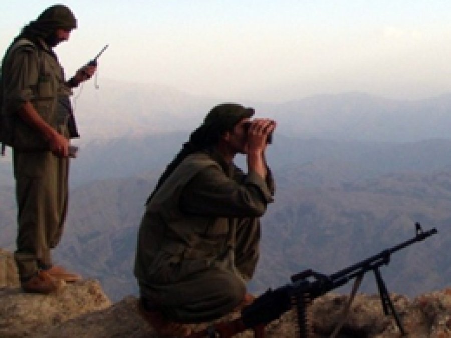 Siirt'te Bir PKK'li Teslim Oldu