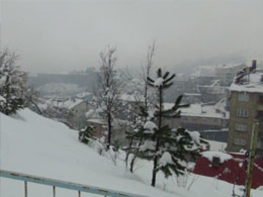 Bitlis'te Kar Hayatı Olumsuz Etkiliyor