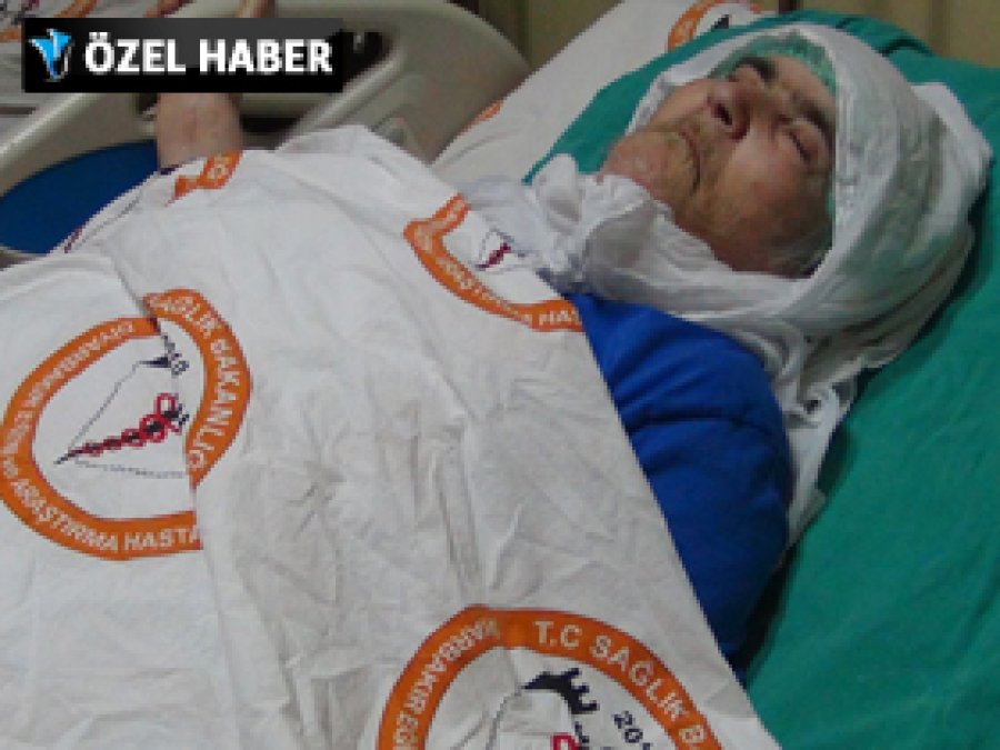 Şerife Ana'nın Yürek Yakan Dramı Ezgileşti