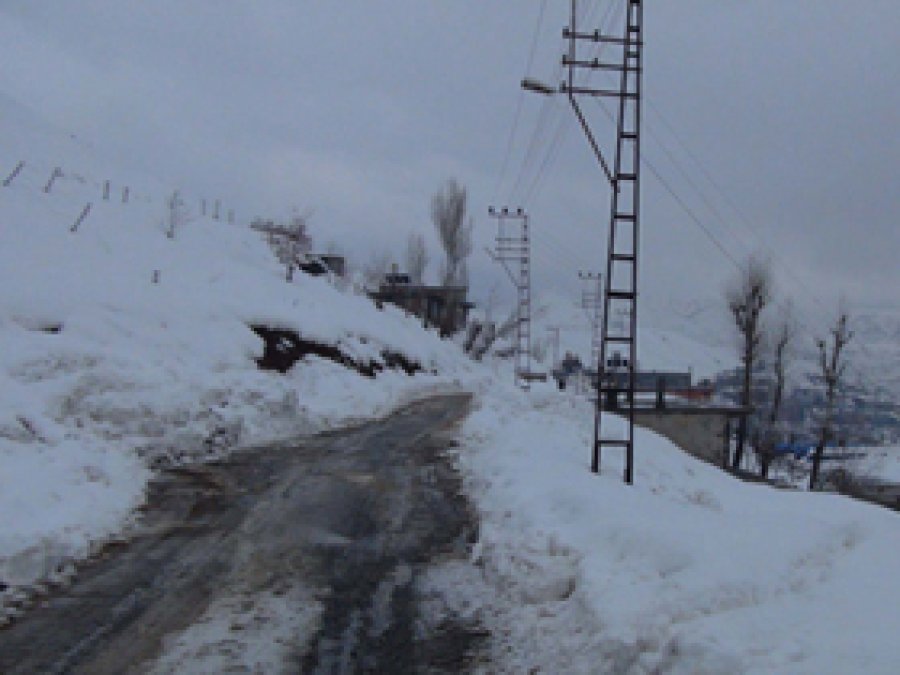 Bitlis'te 19 Köy Yolu Ulaşıma Kapalı