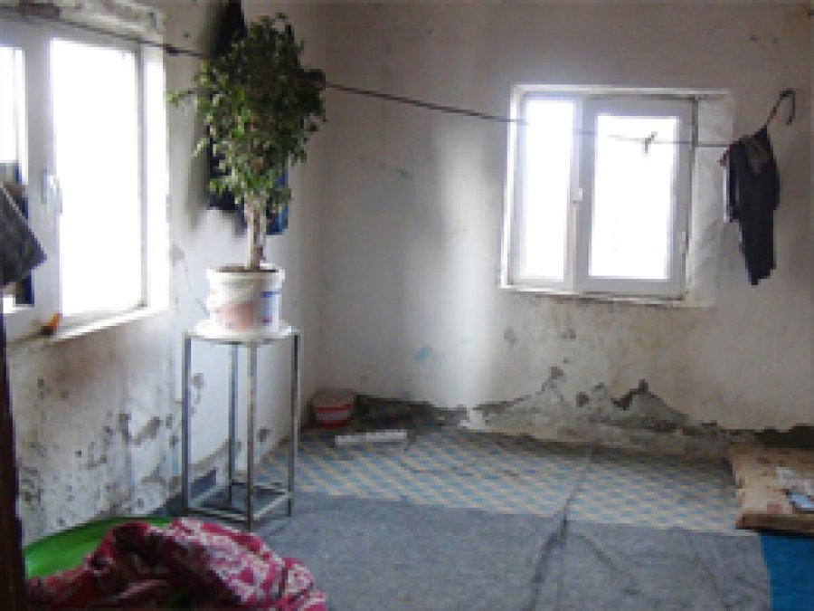 Harabe Evde Yaşam Mücadelesi