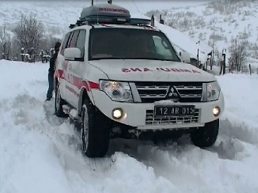 Bingöl'de Paletli Ambulansla Hastalar Taşınıyor