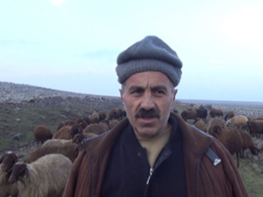 Göçerler Sorunlarına Çözüm Bekliyor