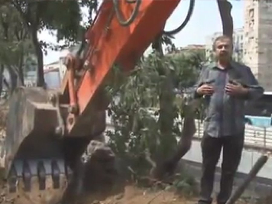 BDP'li Belediye Çınar'da Ağaç Katliamı Yaptı