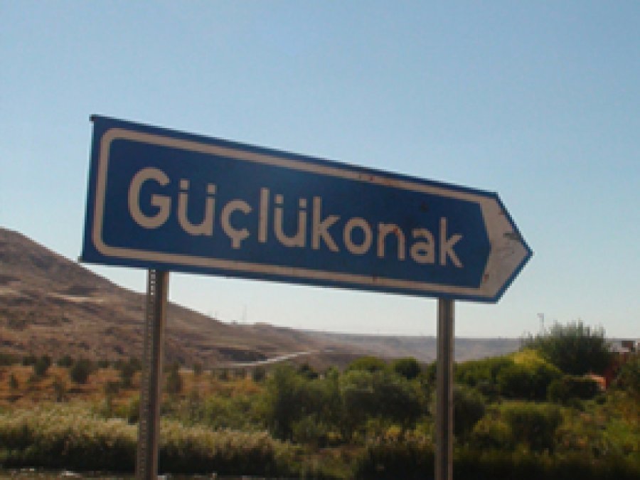 Güçlükonak'ta Faili Meçhul Kazısı
