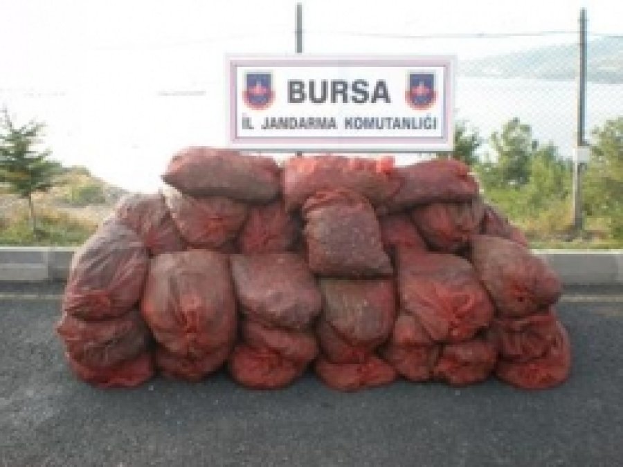 Bursa'da 4 Ton Midye Ele Geçirildi