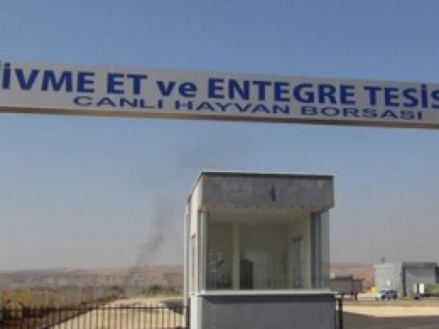 Kaçak Kesim Yüzünden Tesis Kapanıyor 