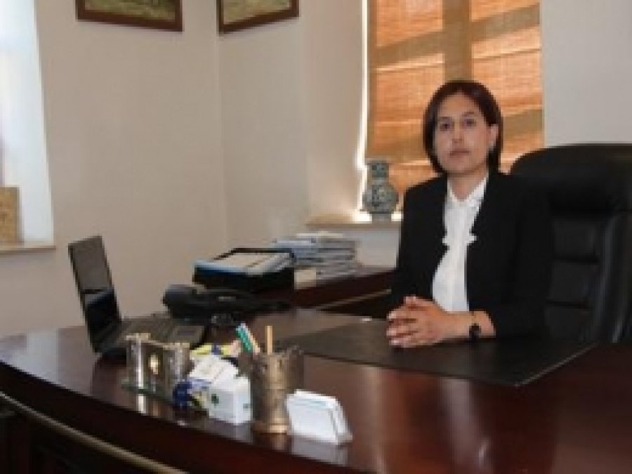 Diyarbakır'da Köye Dönüş Konferansı