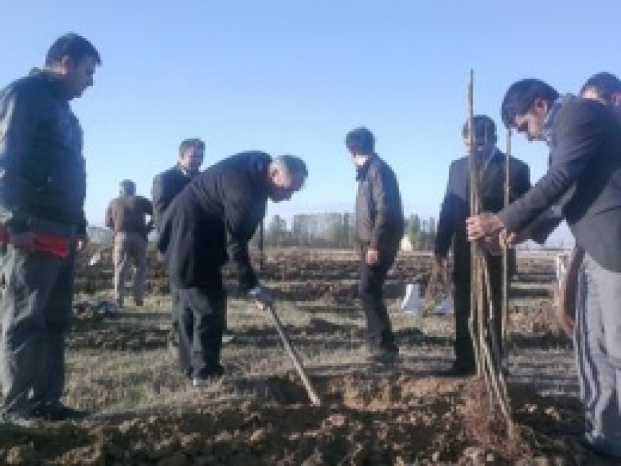 Muş'ta Alternatif Ürünler Geliştiriliyor
