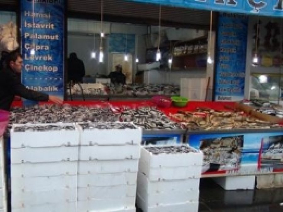 Bingöl'de Balık Sezonu Başladı