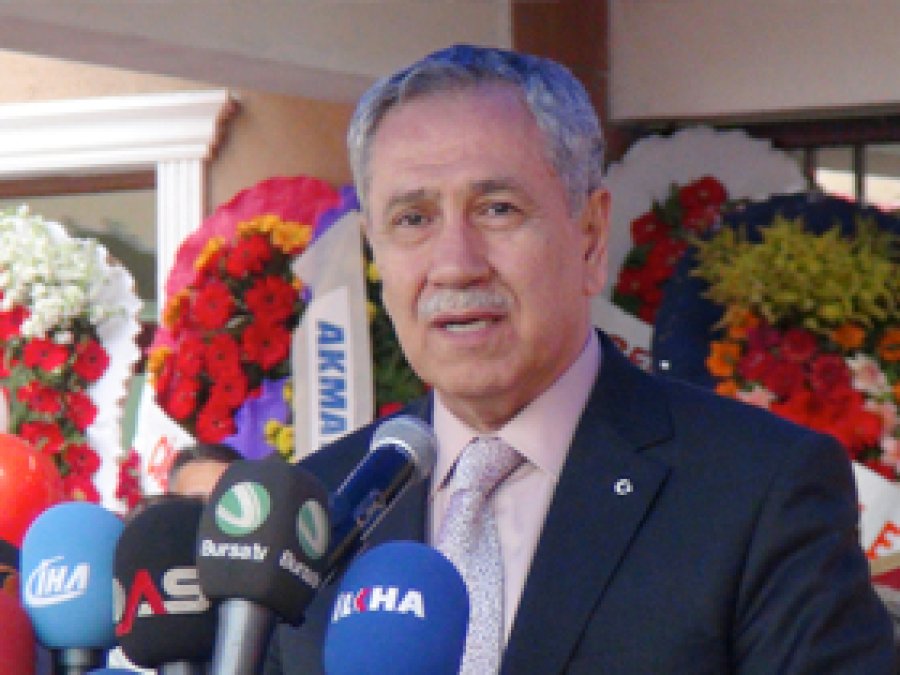 Arınç: Allah Kamer Genç'e Akıl Versin