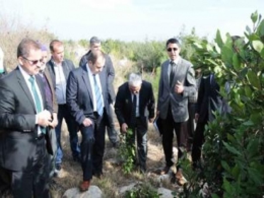 Odun Dışı Orman Ürünleri Eğitim Çalışmaları Sürüyor