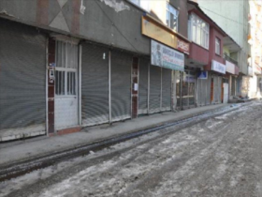 Yüksekova'da Kepenk Kapatma Eylemi