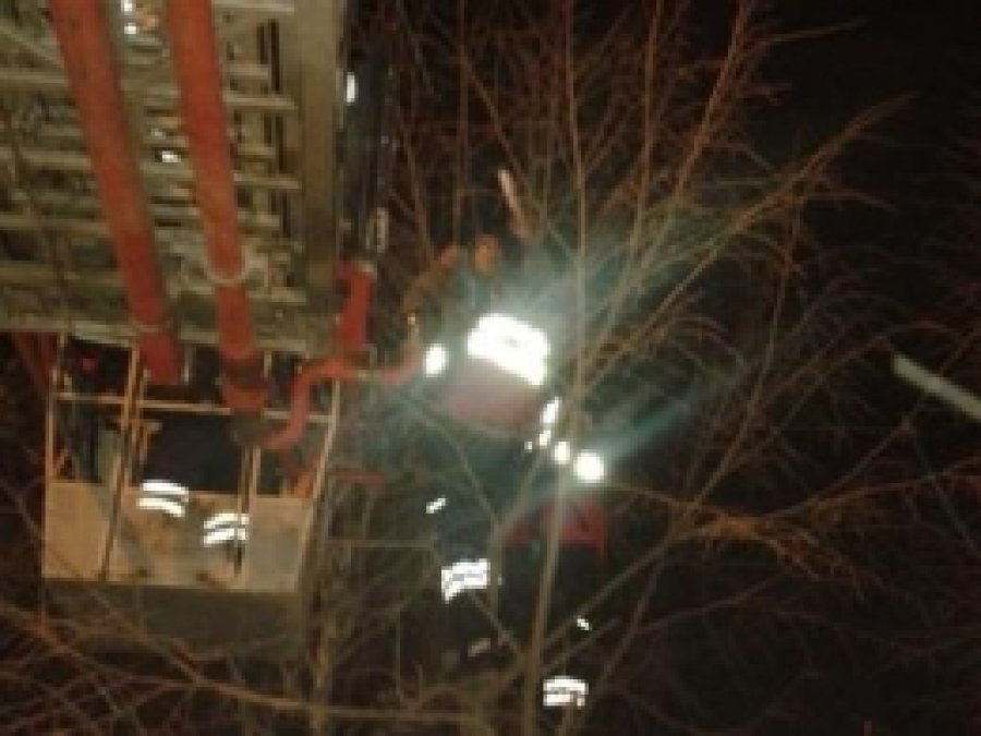 İşsizlikten Bunalan Gençten İlginç Eylem