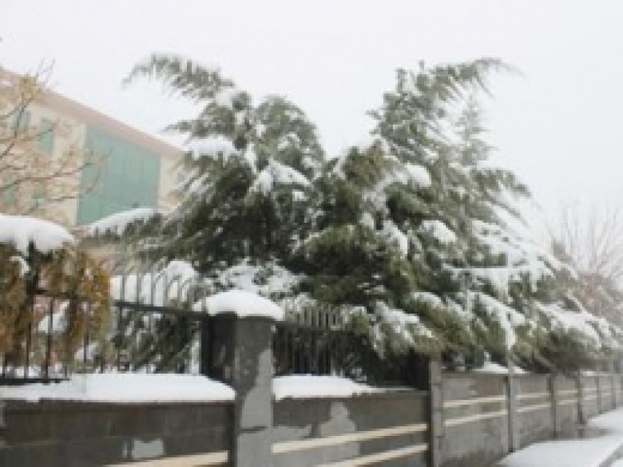 Diyarbakır'da Okullar Tatil