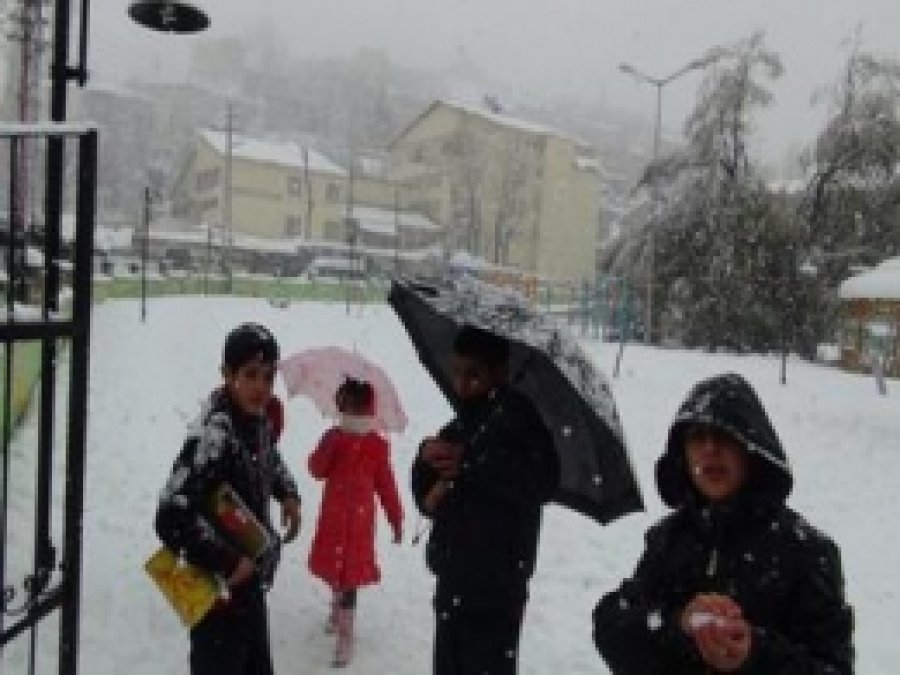 Bitlis'te Cuma Günü De Okullar Tatil Edildi 