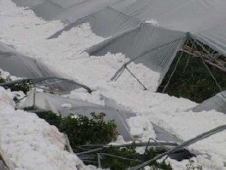Tonlarca Domates Kar Altında Kaldı  