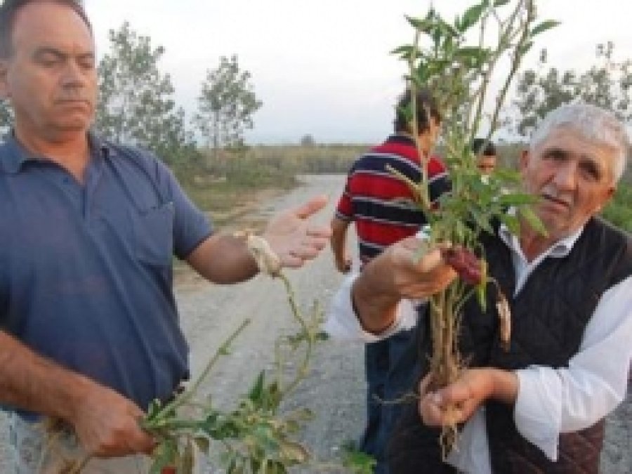 Bakanlıktan 'Kirmasti Deresi' İtirafı
