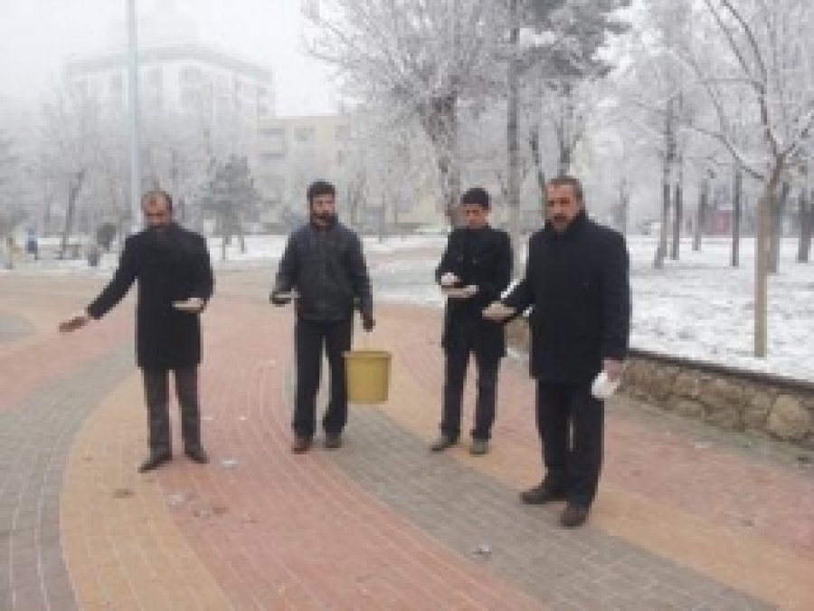 Batman'da Zor Durumdaki Hayvanlar İçin Seferberlik 