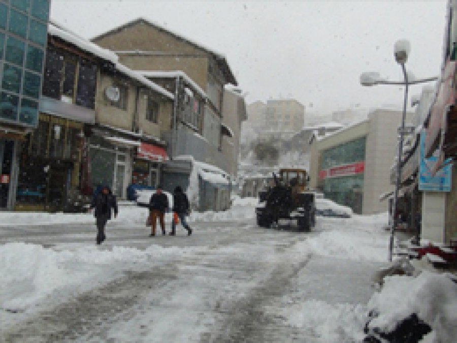 Bitlis Güne Kar Yağışıyla Uyandı