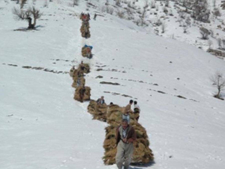 Hakkari'de Dağdan Ot Taşıma Çilesi