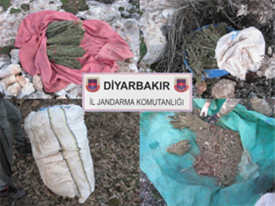 Diyarbakır'da 78 Kilo Esrar Ele Geçirildi
