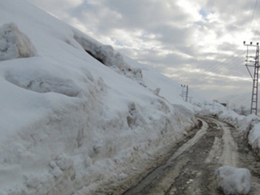 Bitlis'te Çığ Uyarısı!
