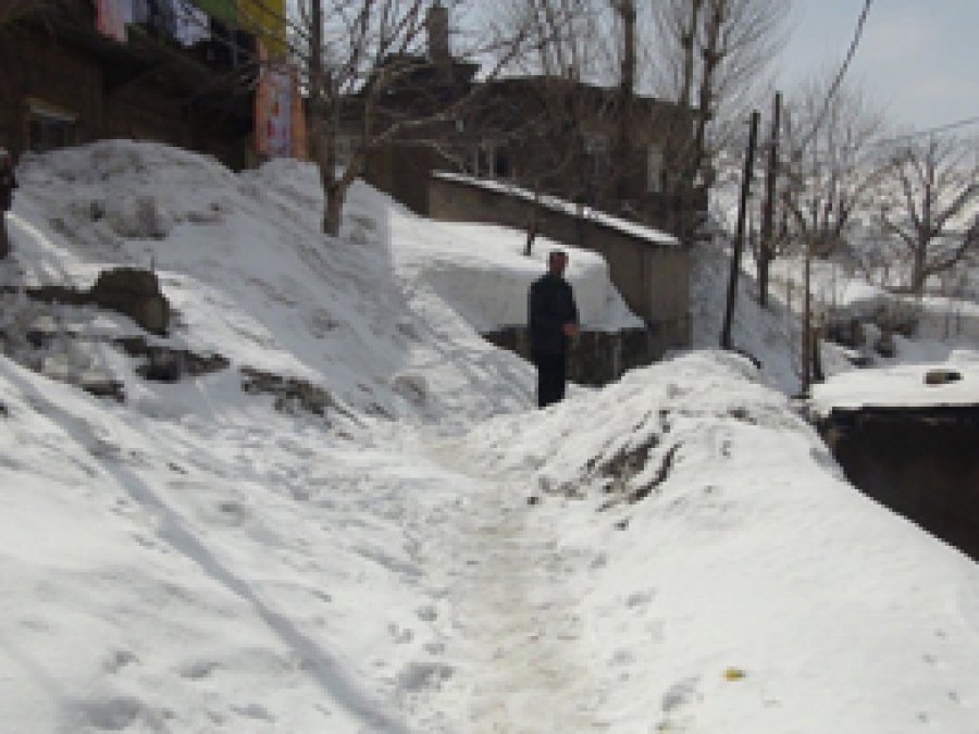 Yolları Açmayan Bitlis Belediyesi'ne Tepki