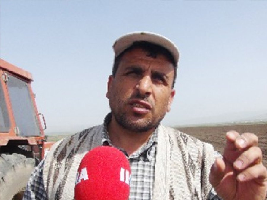 Pancar Ürecileri Hükümetten Destek İstiyor