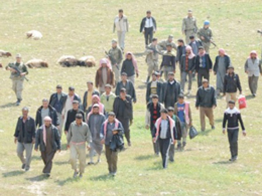 Şanlıurfa'da Büyük Operasyon: 87 Gözaltı