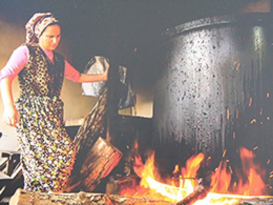 Pancar'dan Fotoğraf Sergisine
