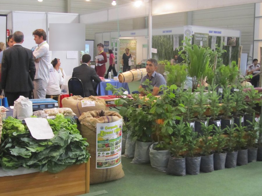 Ekolojik Tarım ve Zeytin Zeytinyağı Teknolojileri Fuarı Açıldı