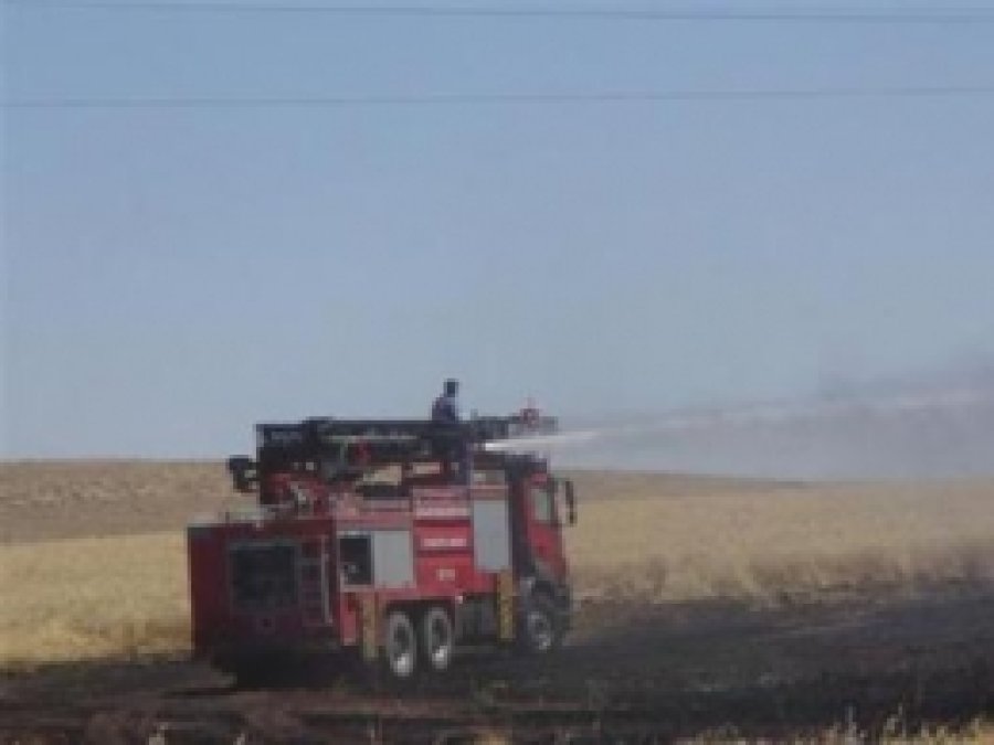 Çınar'da100 Dönümlük Tarla Yandı