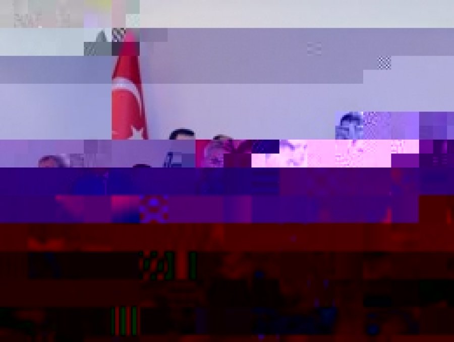 Çelik: Türkiye'de Kriz Yok