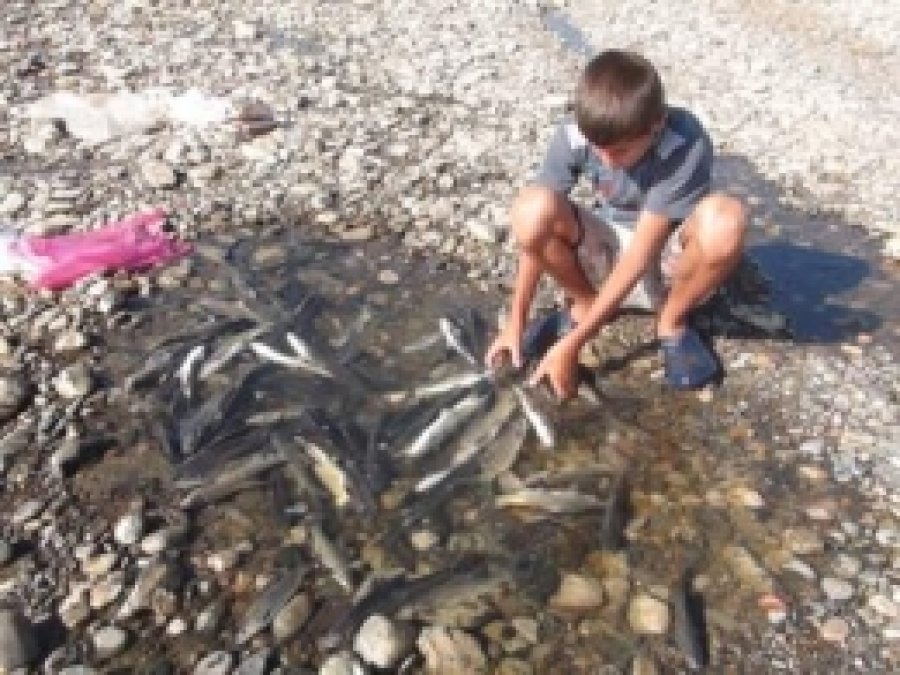 Murat Nehri Diz Boyuna İndi