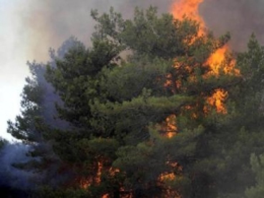 Hatay'da Orman Yangını