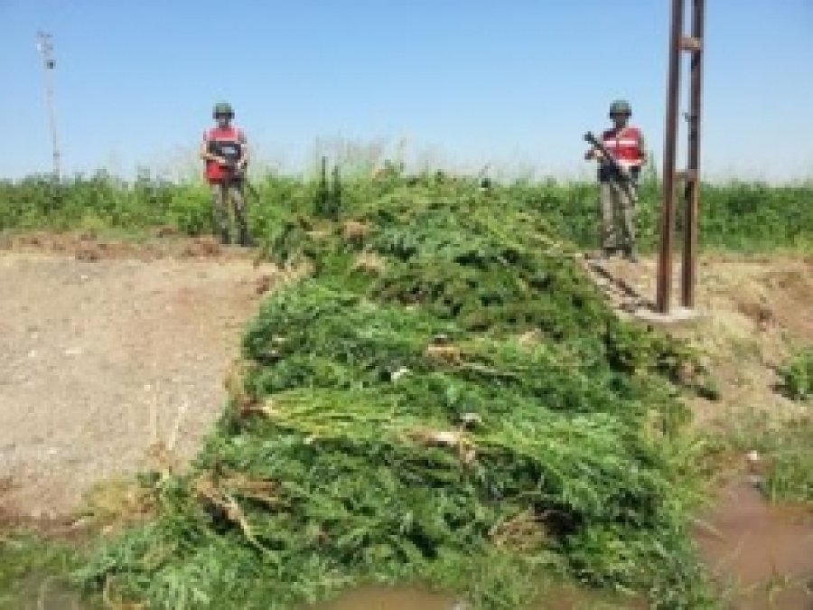Diyarbakır'da Uyuşturucu Operasyonu