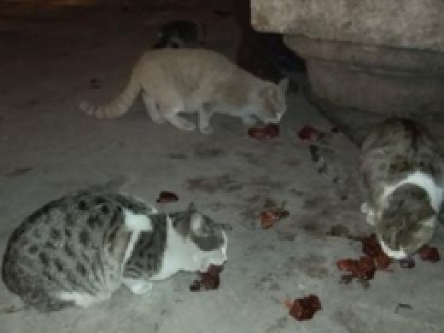 Urfa'da 'İnsanlık Ölmemiş' Dedirten Olay 
