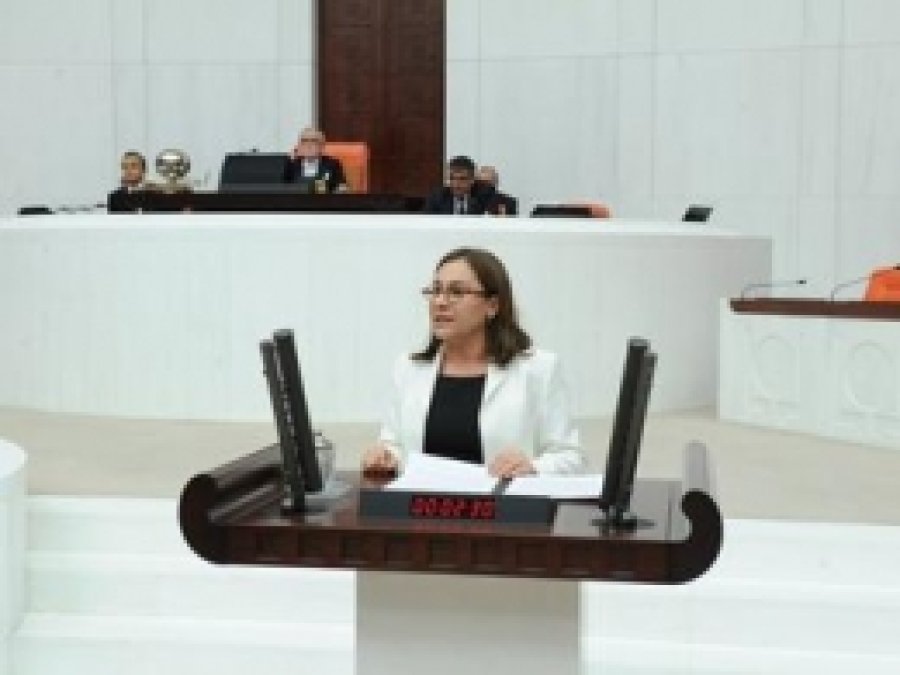 İznik Gölü Çevre Planı'ndaki Değişiklik Meclis'te