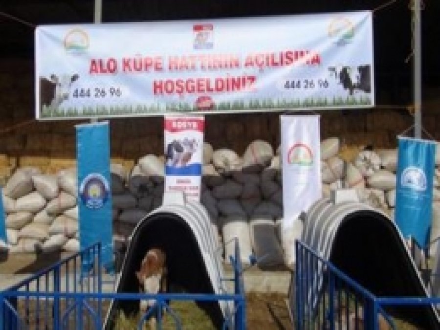 'Alo Küpe Hattı' Hizmete Girdi 