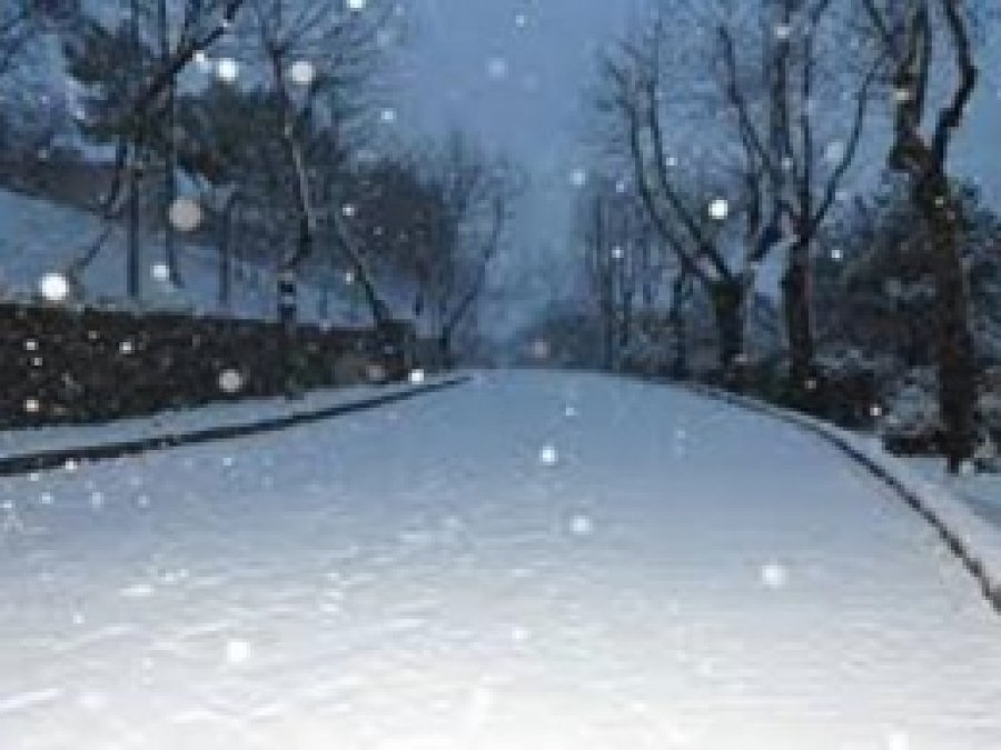 Erzurum'da Kar Yağışı Nedeniyle Bugün Tatil