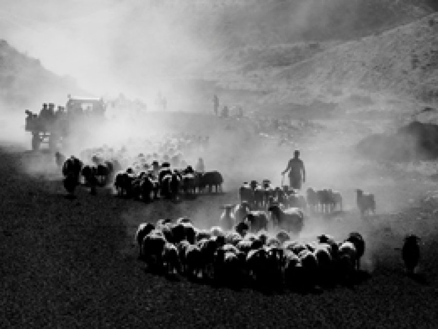 Bitlisli Fotoğraf Sanatçısı 3'ncü Oldu