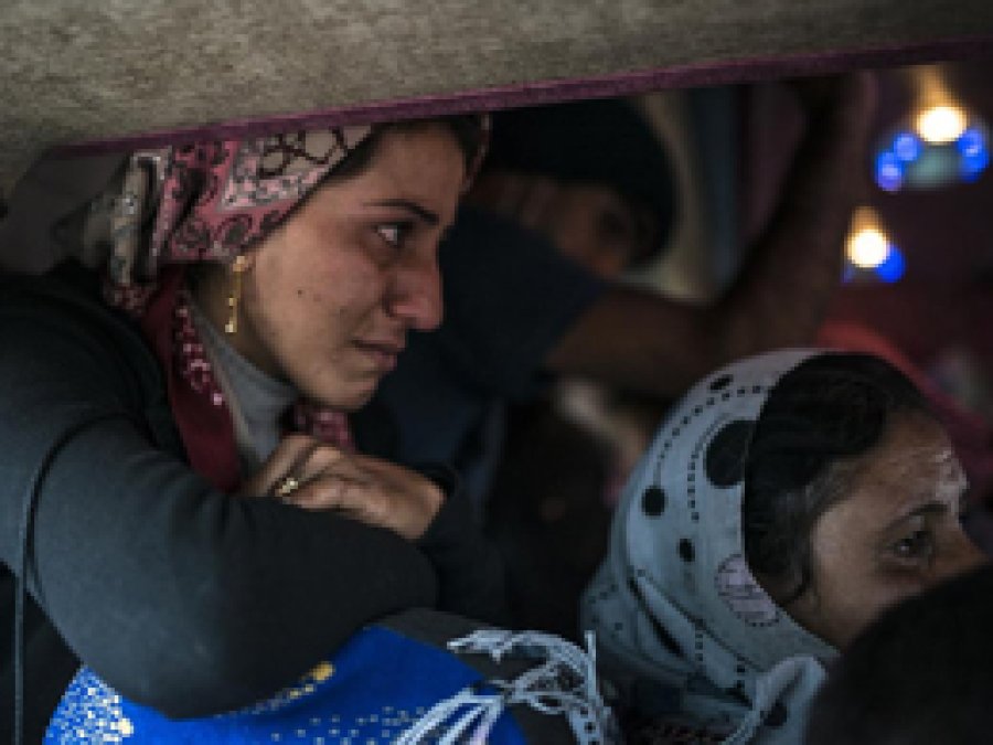 Suruç'tan Girdiler, Ceylanpınar'dan Çıkacaklar