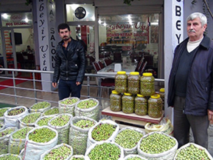 Yeşil Zeytin Satarak 2 Aileye Bakıyor
