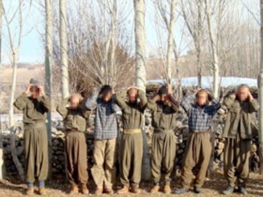Şırnak'ta 8 PKK'lı Daha Teslim Oldu