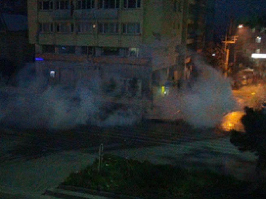 Ahlat’ta 9 HDP'li gözaltına alındı