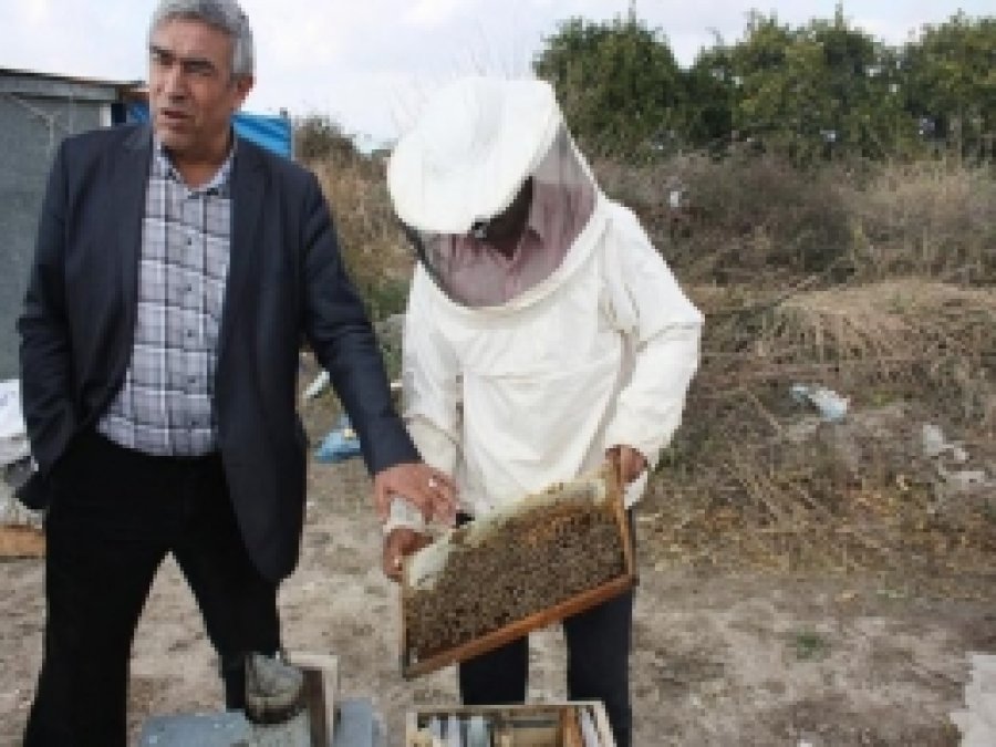 Arı Yetiştiricileri ve Bal Üreticileri Dertli 