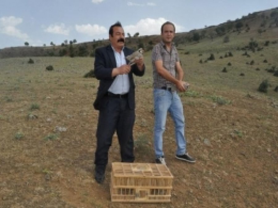 Batman'da 3 Bin Keklik Tabiat Buluştu 